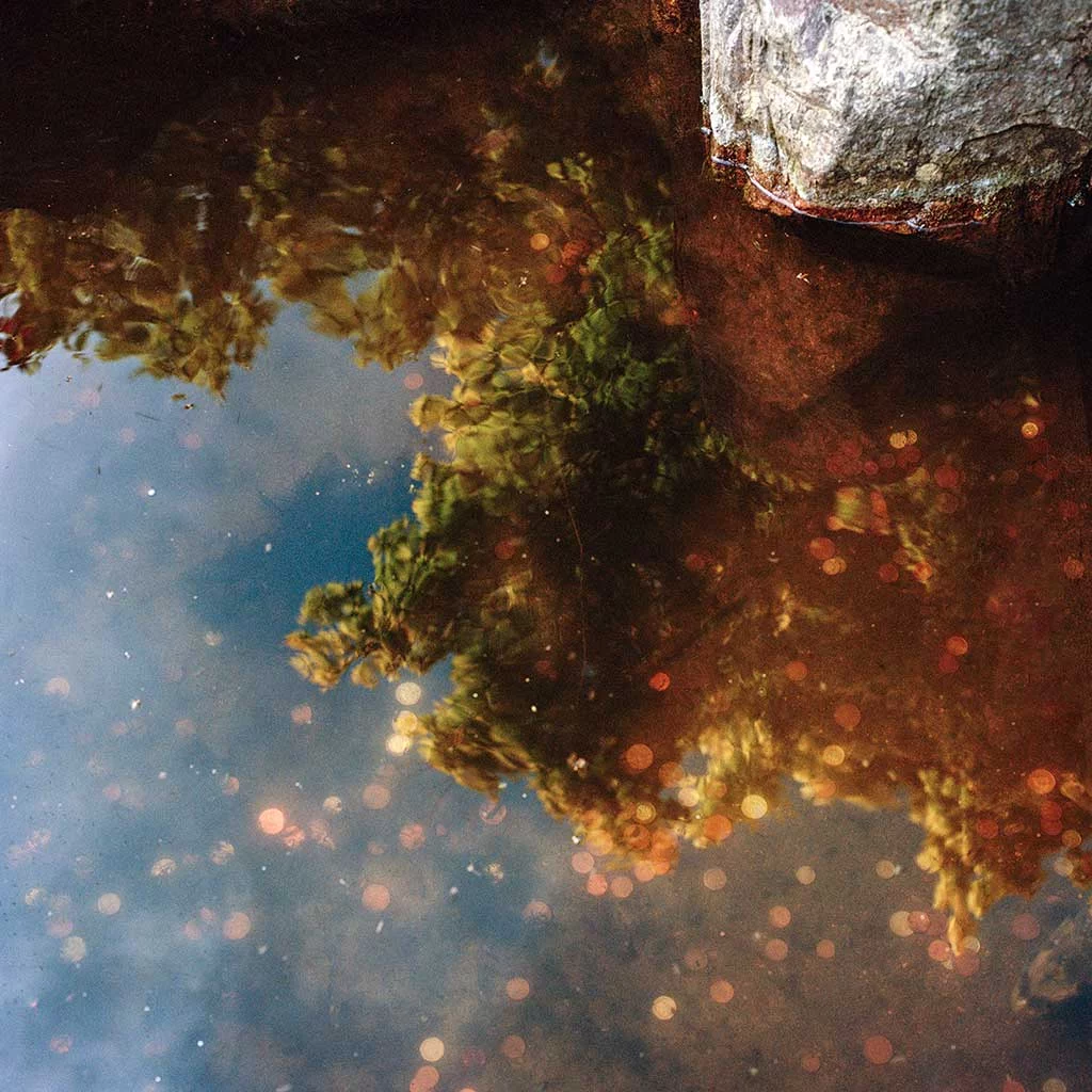 A layered image shows reflections of sky, rocks and foliage in a deep pool of water. The bottom of the pool is strewn with coins that have been tossed in toi the water for good luck.