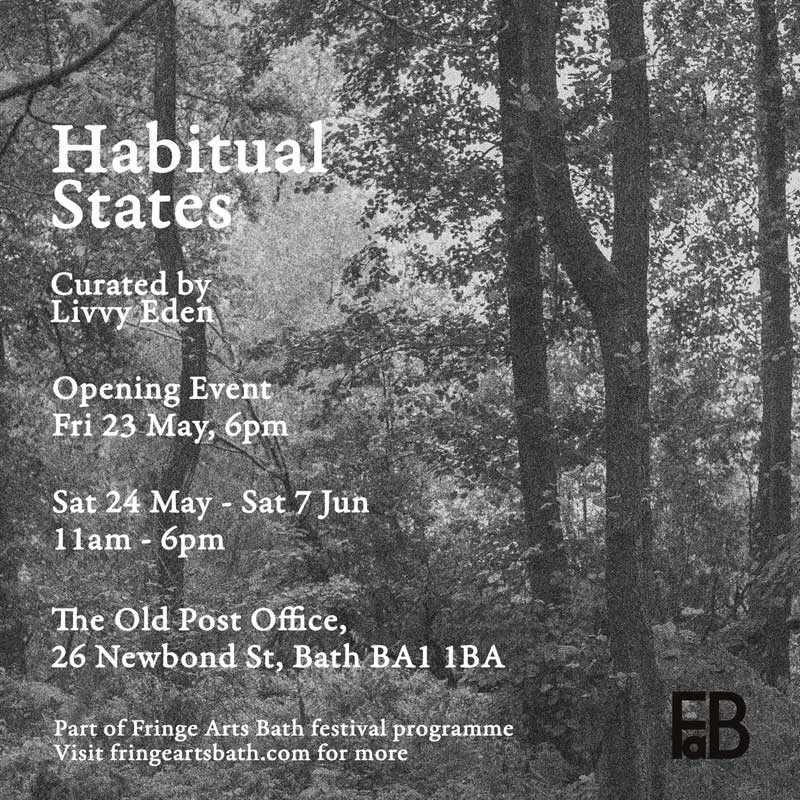 Habitual States exhibition poster Poster for Habitual States exhibition