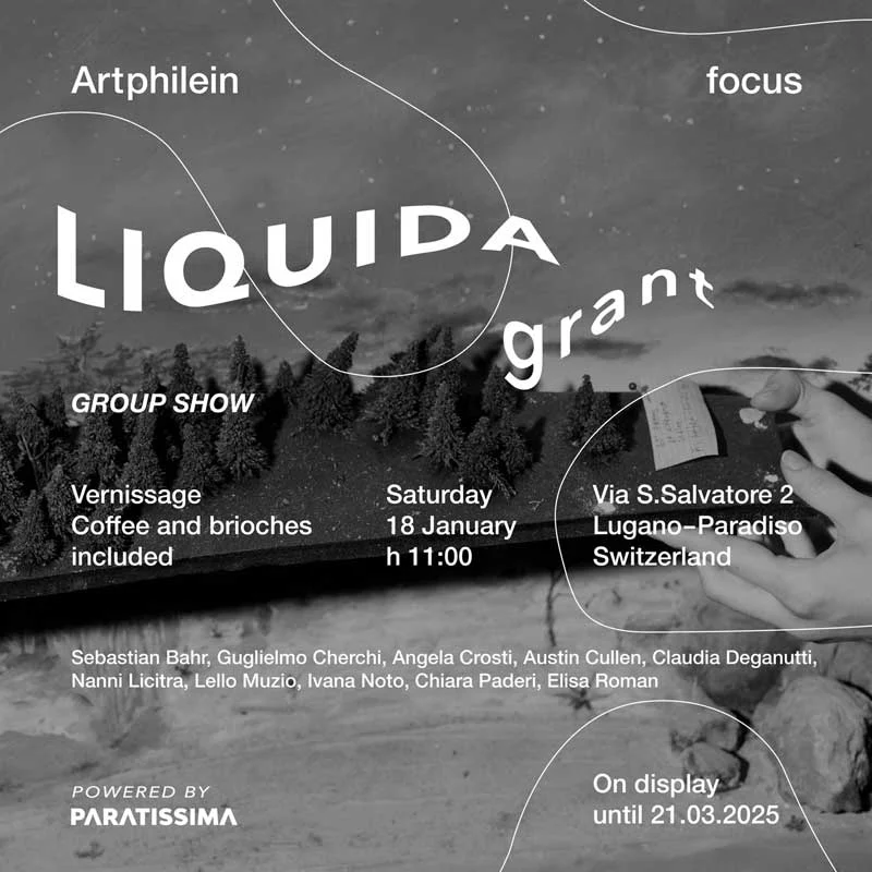 Liquida Photo Festival exhibition poster Poster for Liquida Photo Festival